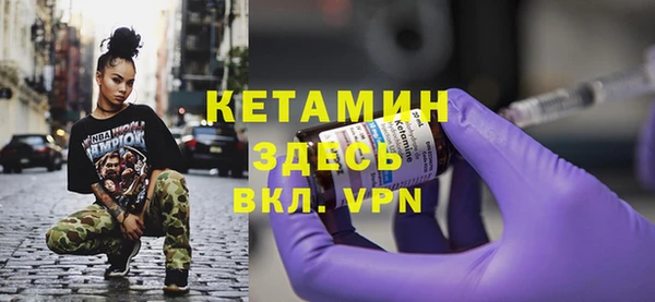 индика Бронницы