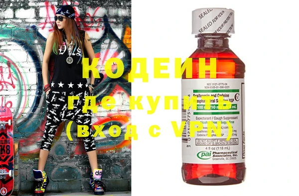 индика Бронницы
