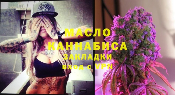 индика Бронницы