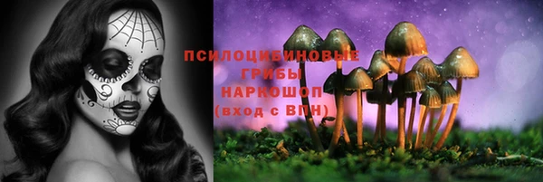 индика Бронницы