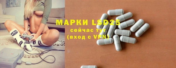 индика Бронницы