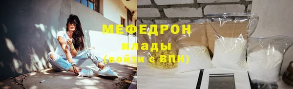 индика Бронницы