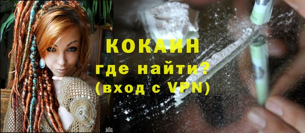 индика Бронницы