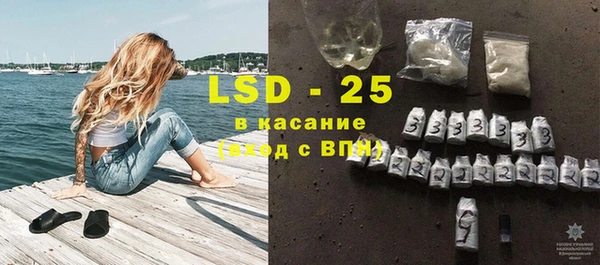 индика Бронницы