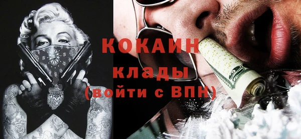 индика Бронницы