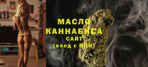 индика Бронницы