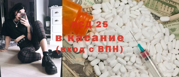 индика Бронницы