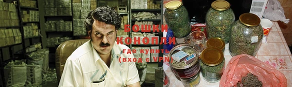 индика Бронницы