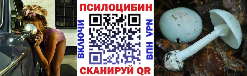 купить  цена  Салават  сайты даркнета клад  Галлюциногенные грибы мицелий 